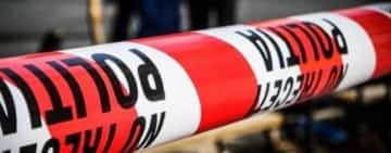 Tânăr de 19 ani, reținut după ce și-a omorât câinele pe peronul Gării Basarab